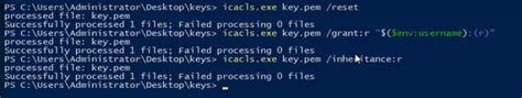 Is there a way to run chmod on Windows .